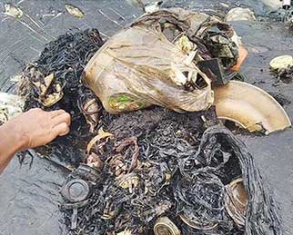 와카토비 섬에서 발견된 향유 고래 사체
@WWF-Indonesia / Kartika Sumolang 