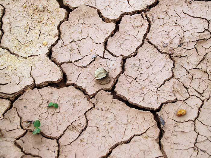 기후변화에 따라 물 부족 문제가 현재보다 확대될 것으로 예상된다. 물이 부족한 면적의 확대는 곧 거주 불가능성 지역의 확대가 아닐 수 없다.