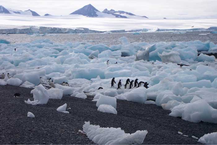 남극이 녹고 있다. 기후위기의 해법은 지금까지 인간이 경험을 통해 익힌 문제해결의 방식 바깥에 있지 않을까? 
https://pxhere.com/en/photo/103216