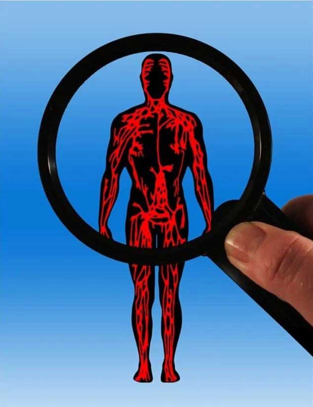 저성장시대에 어떻게 메타볼리즘을 형성하고 다이내믹한 시스템을 짤 수 있는가? https://pixabay.com/illustrations/body-blood-circulation-aterien-75303/