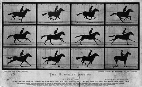 에드워드 마이브리지(Eadweard Muybridge), 〈달리는 말〉, 1878, 흰자판 사진, 미국 의회도서관 소장. 출처: https://www.loc.gov/