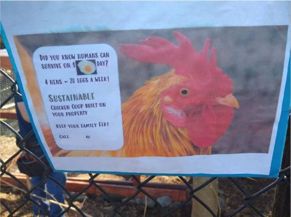 미국에서 판매되는 닭장 키트 광고 이미지. 
사진 출처 : Samantha Kein