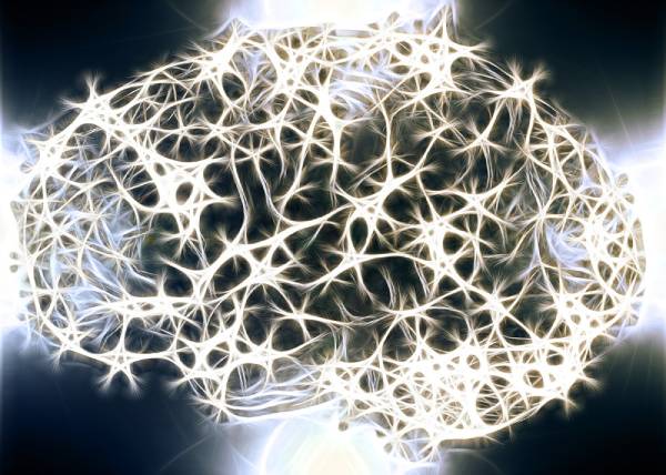 우리 뇌에는 상대의 경험을 마치 자신의 경험처럼 느낄 수 있는 신경세포가 있다. 
사진출처 : geralt