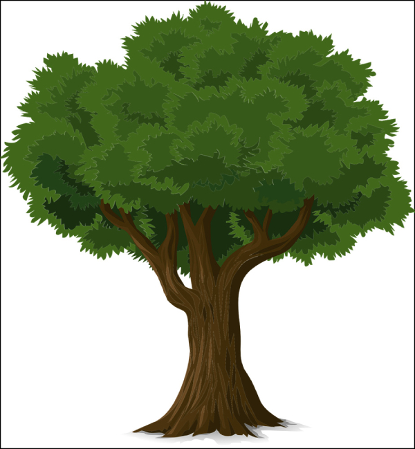 “나무는 우리가 생각하는 만큼 수동적인 존재가 아니다.” 
사진 출처 : OpenClipart-Vectors 