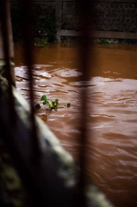 지난 여름, 쏟아지는 빗물에 신림동의 한 반지하 주택에서 세 모녀가 목숨을 잃었다.
사진 출처 : David Kristianto 