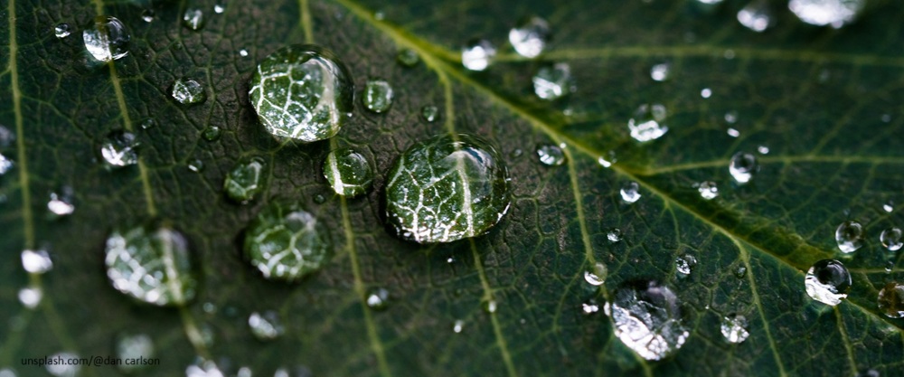 [한편의 詩] 물의 정령에게 바치는 노래