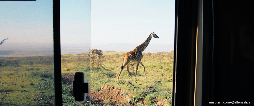 [동물보호법과 시민의식] ⑤ 동물을 위한 법, 사회를 비추는 질문이 되다