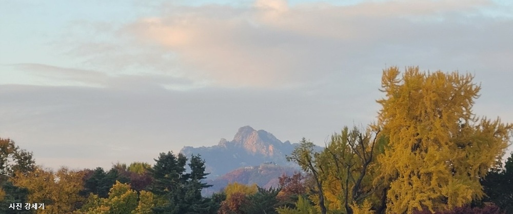 [초록산책] ⑭ 내일은 언제 오나