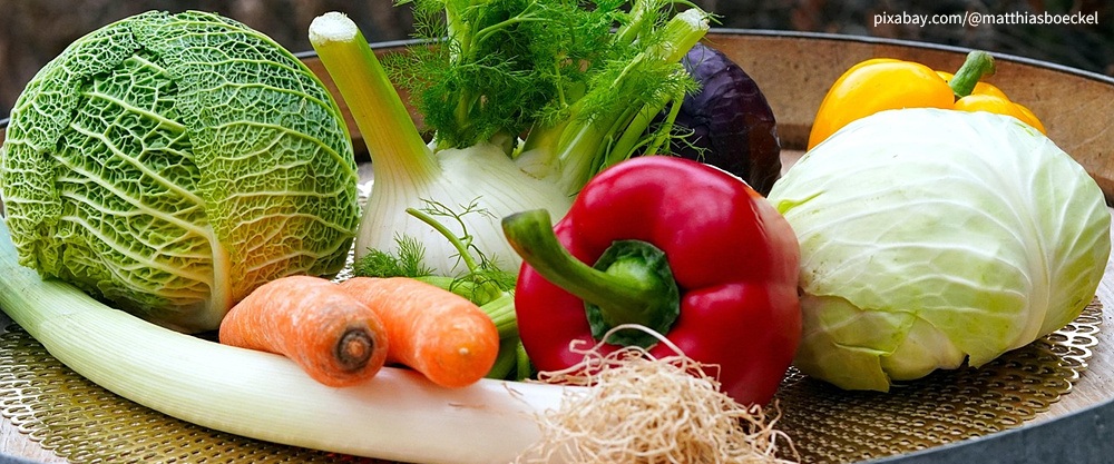 농부가 정치경제학을 만날 때 -『한 미식가의 자본주의 가이드』를 읽고