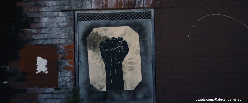 시대의 침묵을 깨뜨린 사람들 -마야 안젤루, 드레드 스콧, 버지니아 마이너