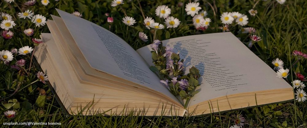 [진솔한 몸] ⑥ 이름 너머