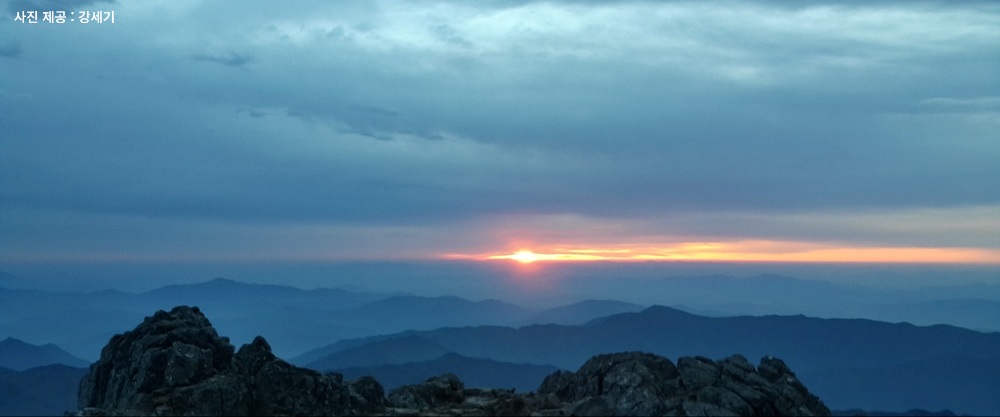 [초록산책] ⑯ 새해 결심