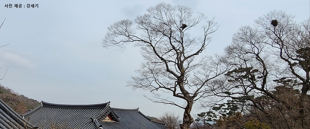 [초록산책] ⑰ 봄이 오기 전에