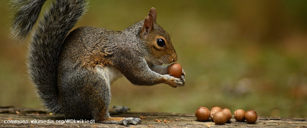 [마을에서 철학하기] ⑤ 밈으로 진화하기