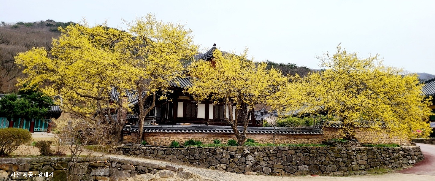 [초록산책] ⑱ 3월의 계획