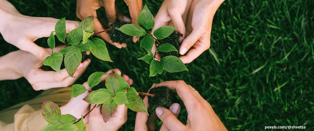 [번역: 페트라 켈리의 『녹색을 생각한다』] ① 삶이 곧 정치다