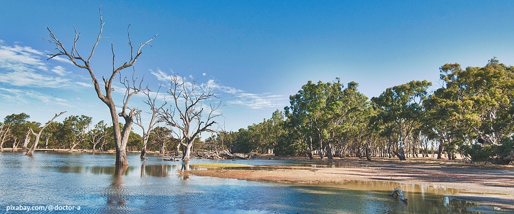 [생태wiki번역] ㉒ 생태 형이상학과 환경윤리 철학자 – 프레야 매튜스