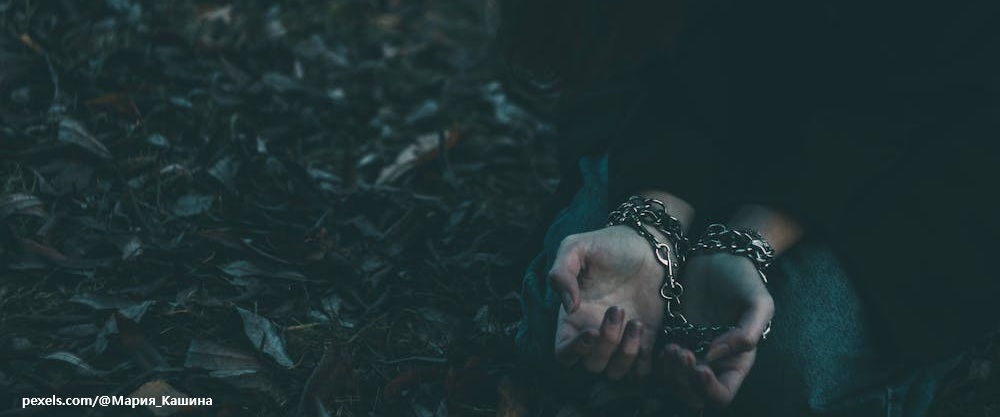 [봉사형벌일지] 8,472시간의 봉사형벌